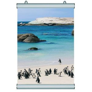 Poster Snap - Coppia Barre Portaposter - immagine 1