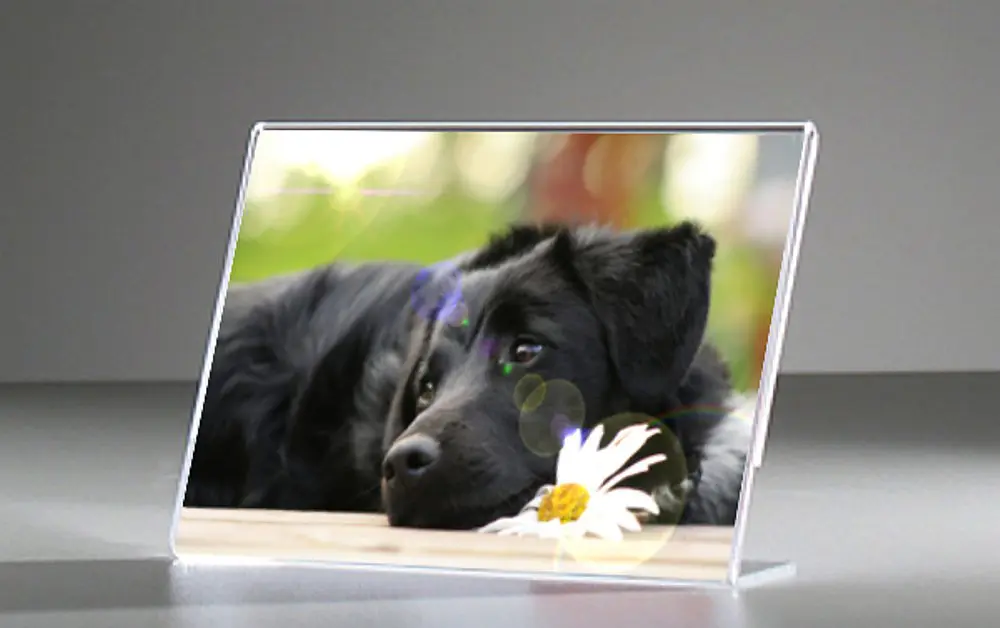 portavvisi da banco a l 18 x 13 pab005