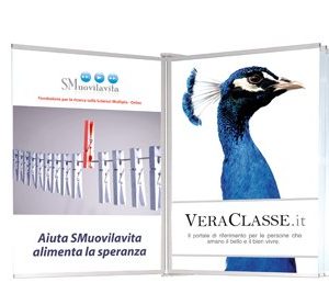 espositore a parete 6 pagine albo03