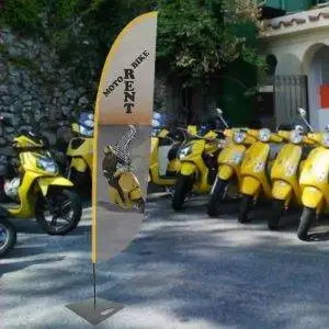 “Feather” Flag display H 2.5 -printing included - Image 2