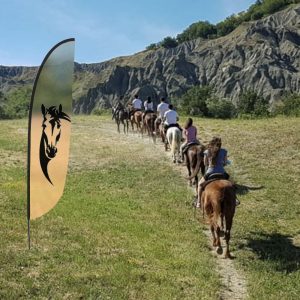 Bandiera pubbicitaria a piuma h 3 completa di stampa ambientata