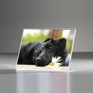 Portavvisi da banco A5 orizzontale (21x15 cm.) - immagine 1