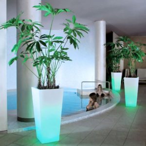 Vaso luminoso Pots Bright Cedar LARGE - immagine 3