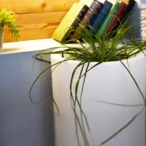 Bright Vase: Pots Bright Rose - Image 6