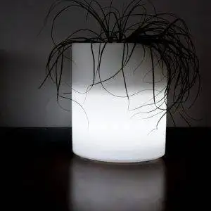 Bright Vase: Pots Bright Rose - Image 4