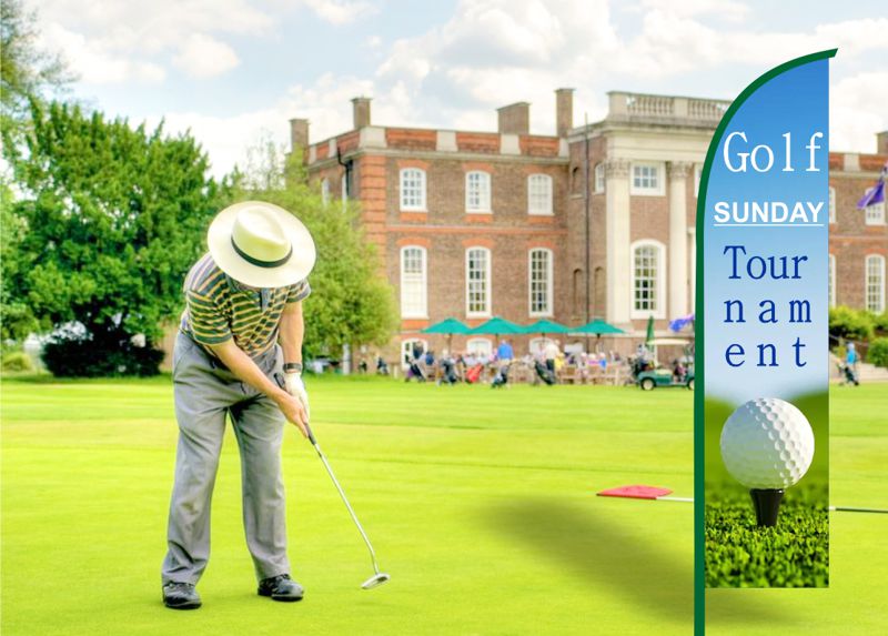 bandiera pubbicitaria ala 270 c web