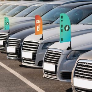 Bandiera pubblicitaria con ventosa COMPLETA DI STAMPA - immagine 2