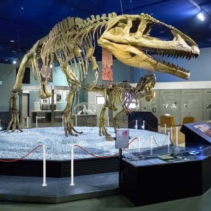 Colonnina segnapercorso telescopica con base magnetica ambientata