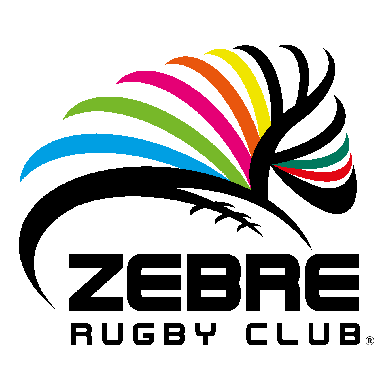 zebre Rugby Club